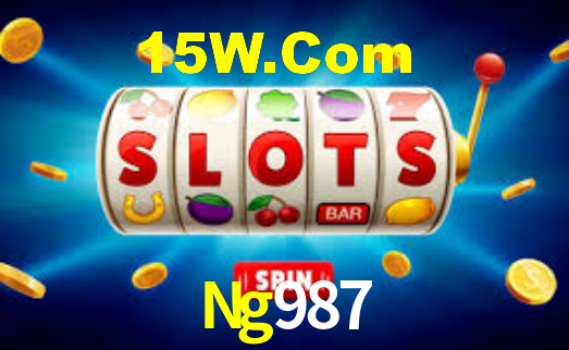 Segurança e privacidade no APP Ng987